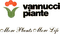 vannucci piante More Plants More Life