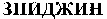 EPIGYNE.
