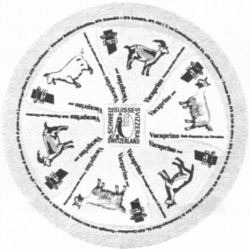 Vacaprino