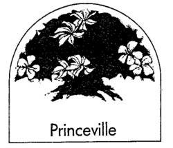 Princeville