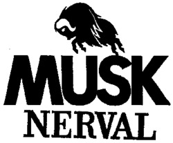 MUSK NERVAL