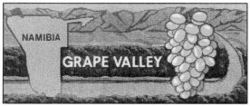 NAMIBIA GRAPE VALLEY