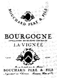 LA VIGNÉE