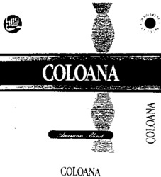 COLOANA