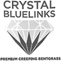 CRYSTAL BLUELINKS PREMIUM CREEPING BENTGRASS