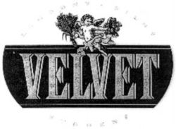 VELVET