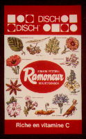 Ramoneur