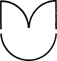 M U