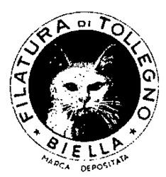 FILATURA DI TOLLEGNO BIELLA