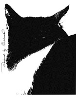 Designed by Barnabé