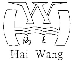 Hai Wang
