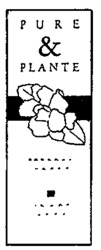 PURE & PLANTE