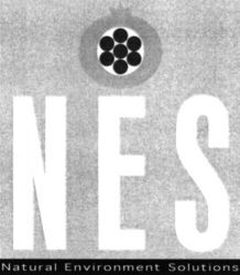 NES Natural Environment Solutions