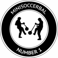 MINISOCCERBAL NUMBER 1