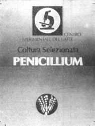 PENICILLIUM