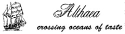 Althaea crossing oceans of taste