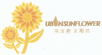 05050UBONSUNFLOWER