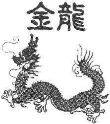 JIN LONG
