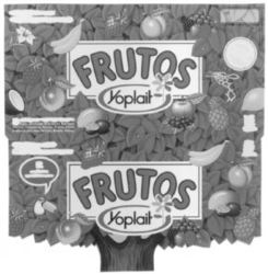 FRUTOS Yoplait