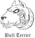 Bull Terrier