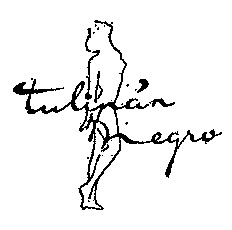 tulipan negro