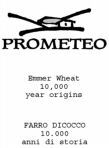 PROMETEO Emmer wheat 10,000 year origins FARRO DICOCCO 10.000 anni di storia