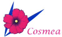 Cosmea