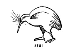 KIWI