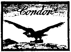 Condor