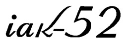 iak-52