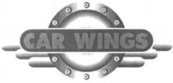 CAR WINGS