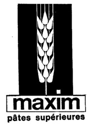 maxim