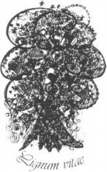 Lignum vitae