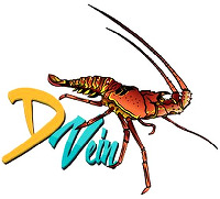 D Vein