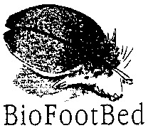 BioFootBed