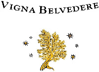 VIGNA BELVEDERE