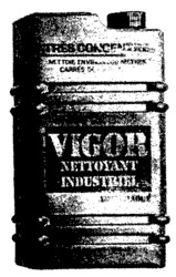 VIGOR
