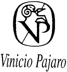 VP Vinicio Pajaro