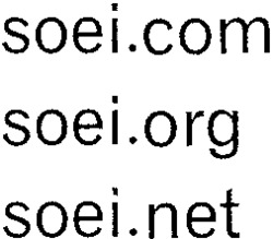 soei.com soei.org soei.net
