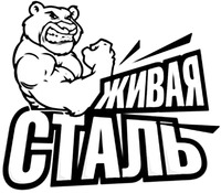 ЖИВАЯ СТАЛЬ