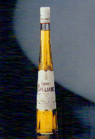 LIQUORE GALLIANO