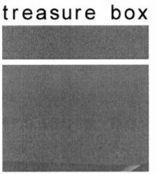 treasure box