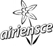 airiensce