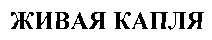 JIVAYA KAPLYA.
