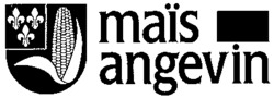 maïs angevin