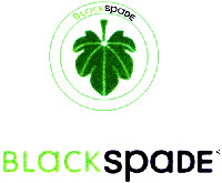 BLACK spade
