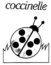 coccinelle