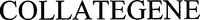 COLLATEGENE