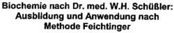 Biochemie nach Dr. med. W.H. Schüßler: Ausbildung und Anwendung nach Methode Feichtinger