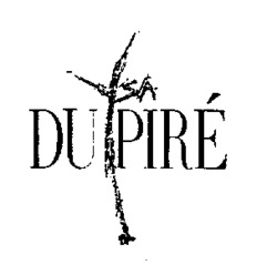 YSA DU PIRÉ